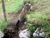 Da Rusio, frazione di Castione, al Rifugio Rino Olmo per la Valle dei Mulini - FOTOGALLERY